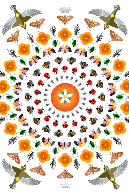 CommUnity by Rebecca Sutherland