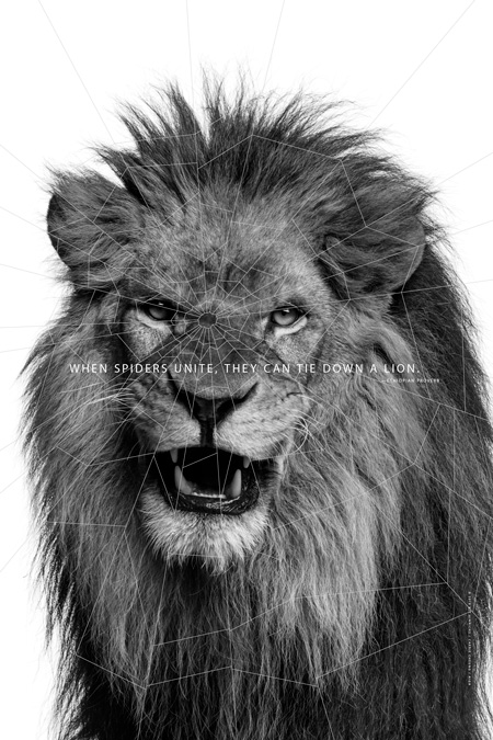 CommUnity by Studio Hinrichs